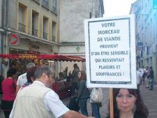 pic1-report-poitiers-france-2011-09-24